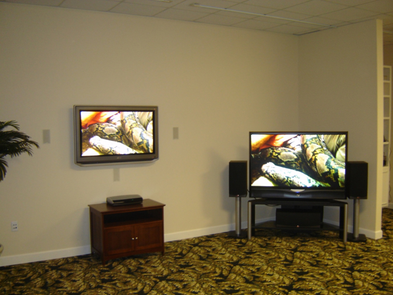 POCISO March Glow Blog1 PHOTO3